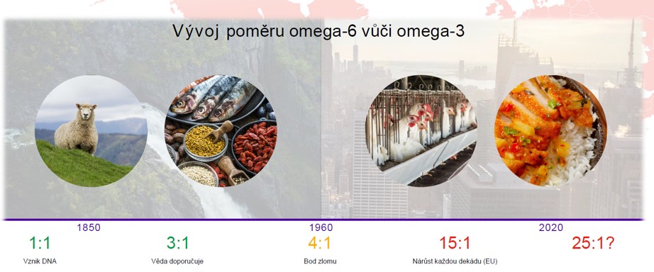 Prostředí se mění a tím i potřeba zdrojů pro naše buňky.
